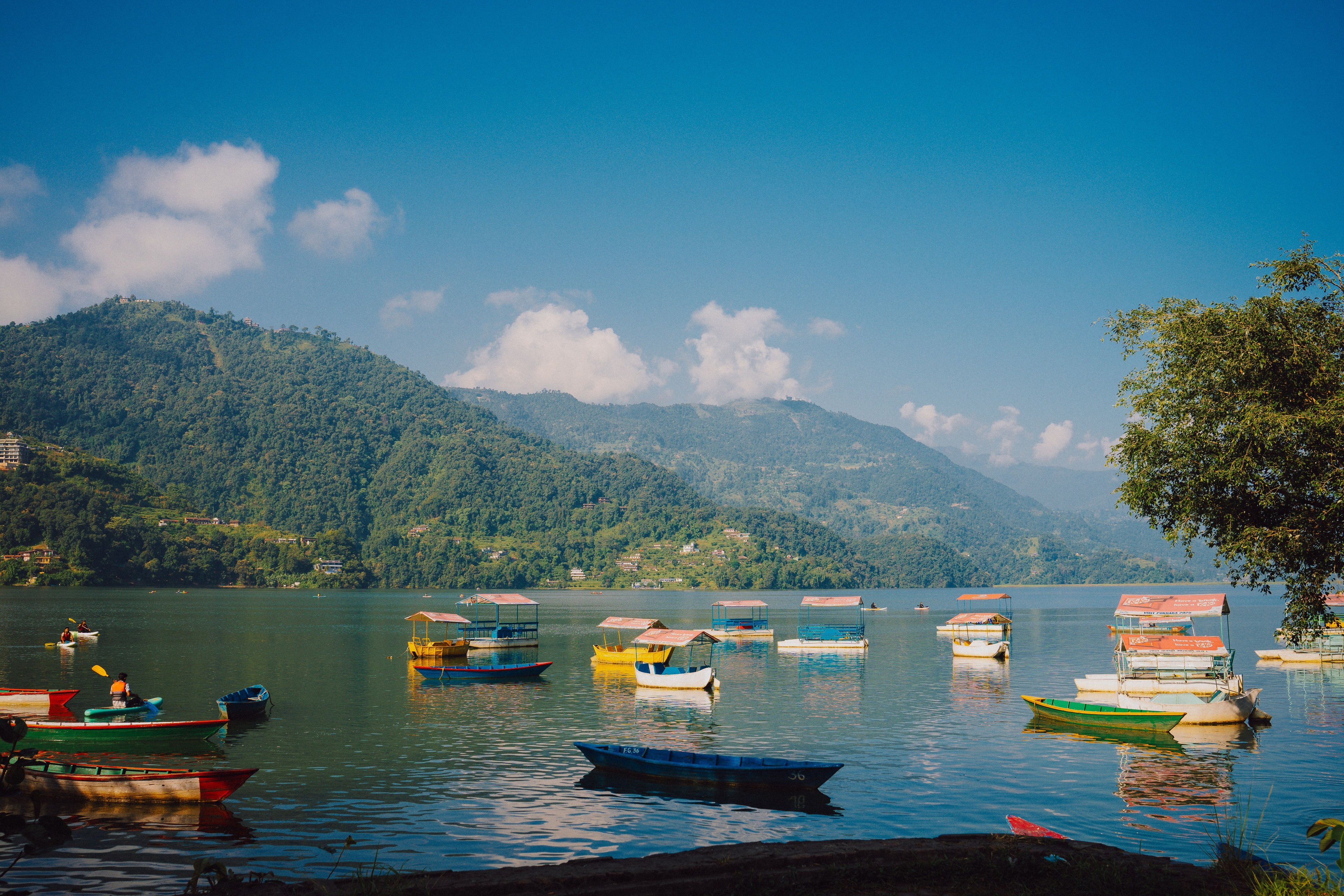 Phewa Lake
